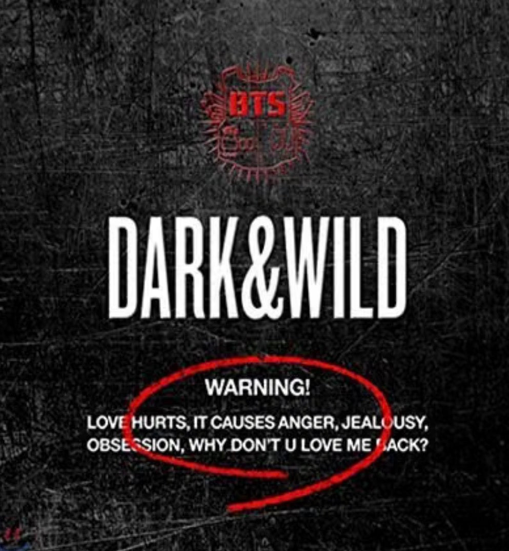BTS – Dark & Wild